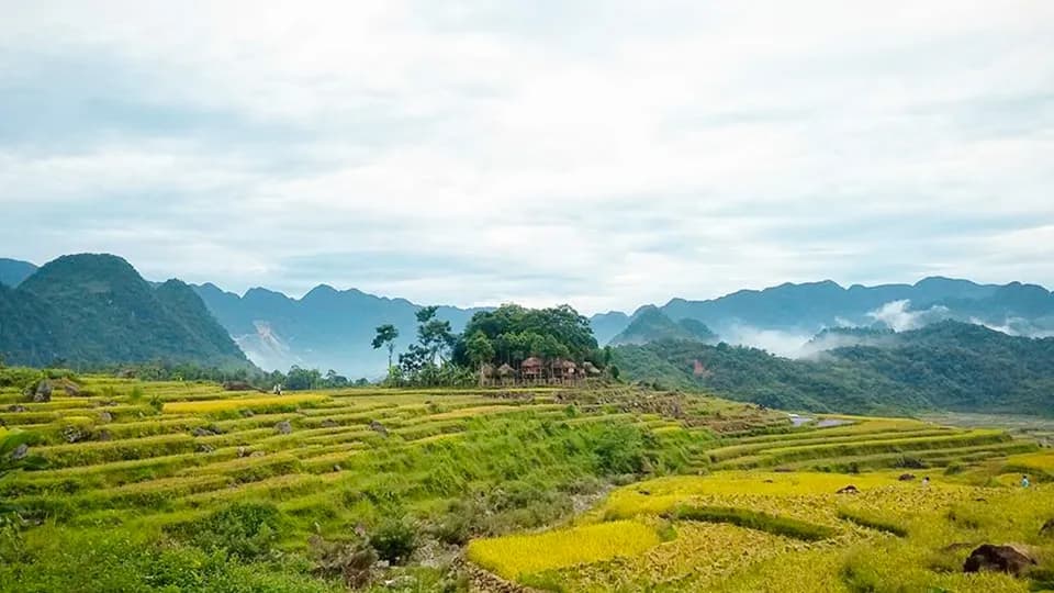 Nhắm mắt thấy Puluong
