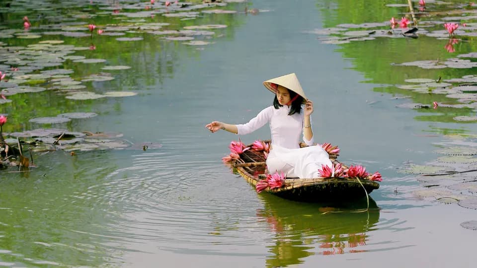 Có một suối hoa của mùa thu miền Bắc