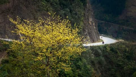 Những nẻo đường Hà Giang
