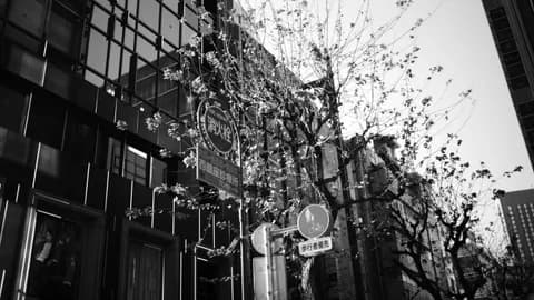 Một buổi chiều tối tại Ginza, Tokyo