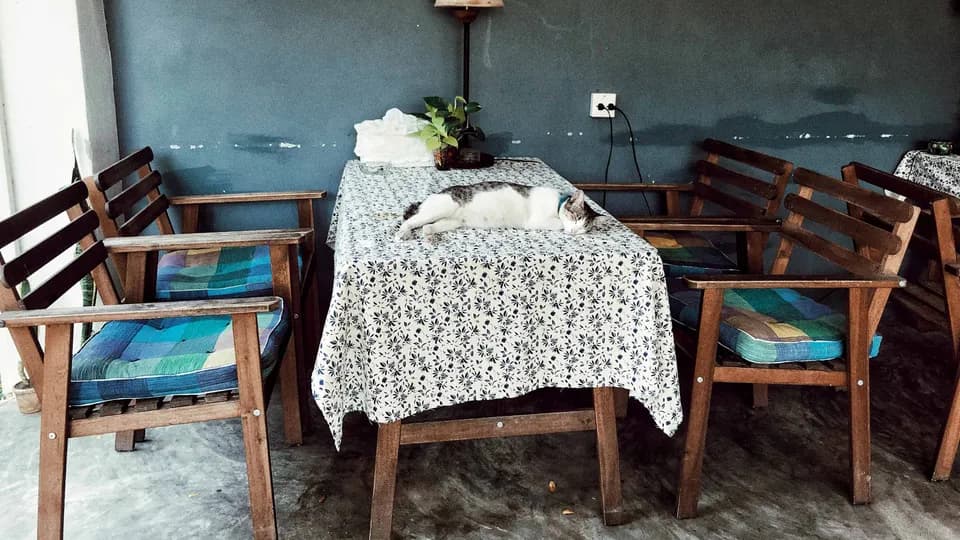 Tìm thấy bình yên ở Mona Chiang Mai