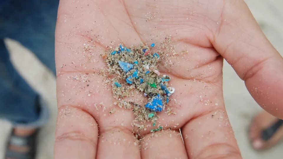 “Chúng ta đang tạo ra một hành tinh nhựa"
