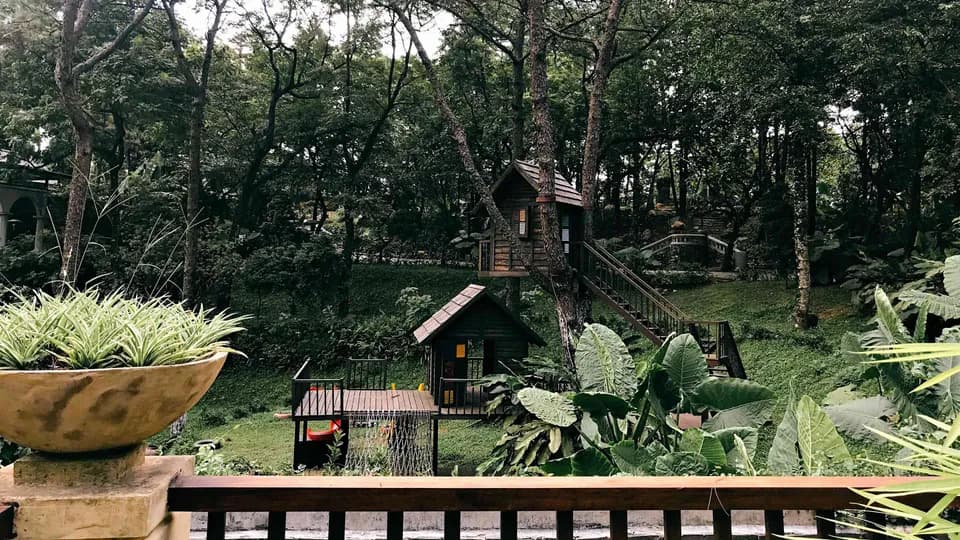 Ba Vì một ngày đi rong
