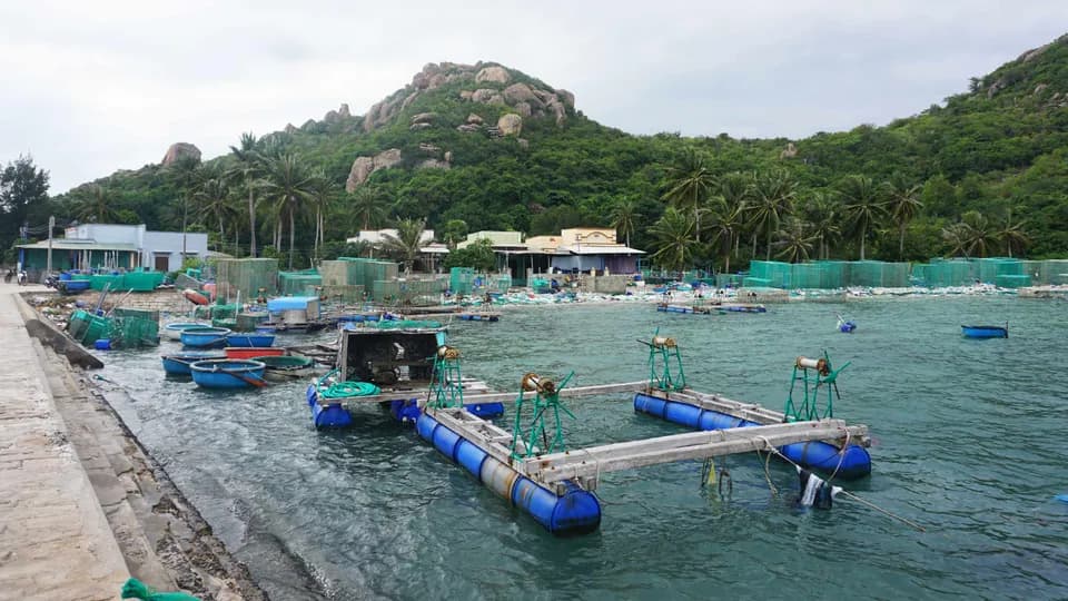 Làng chài Bình Lập những ngày cận Tết