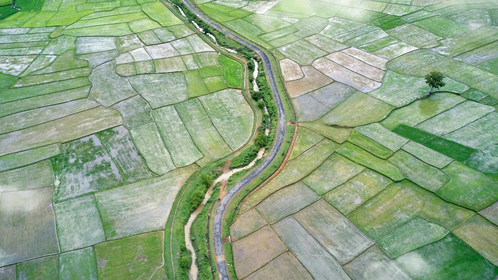 Thênh thang đại ngàn những mảng màu Tây Nguyên