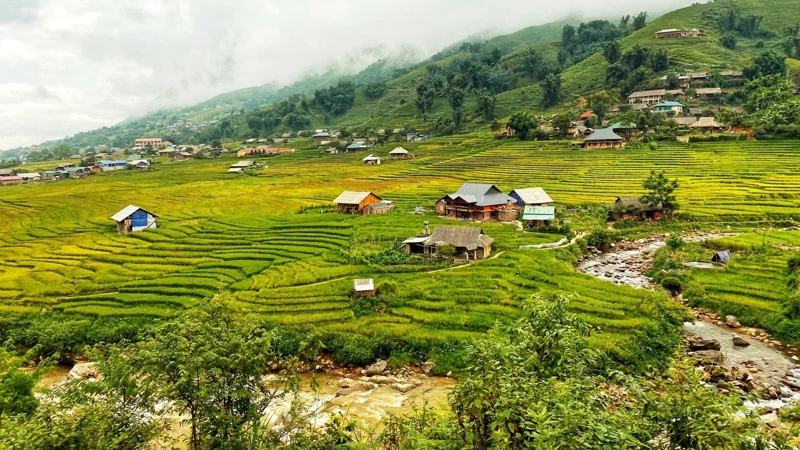 Đi dọc Mường Hoa, nghe lúa vàng hát ca