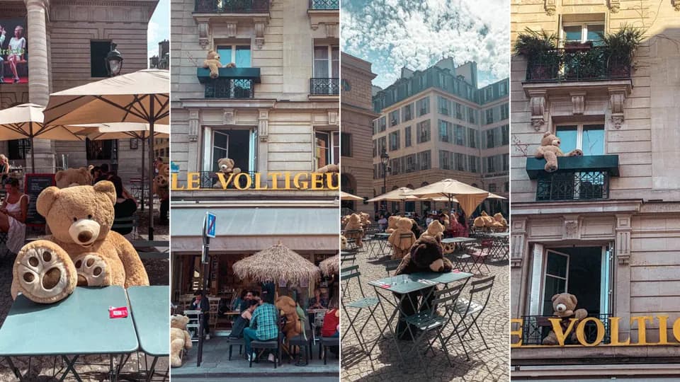 Những chú gấu bông khổng lồ ở các quán cà phê tại Paris