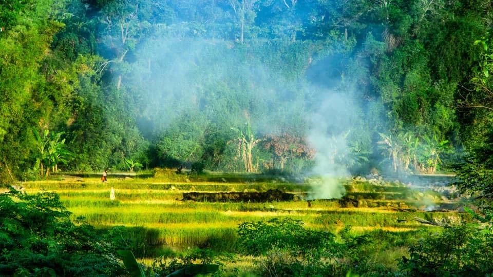 Về Đạ Tông, nghe núi rừng kể chuyện