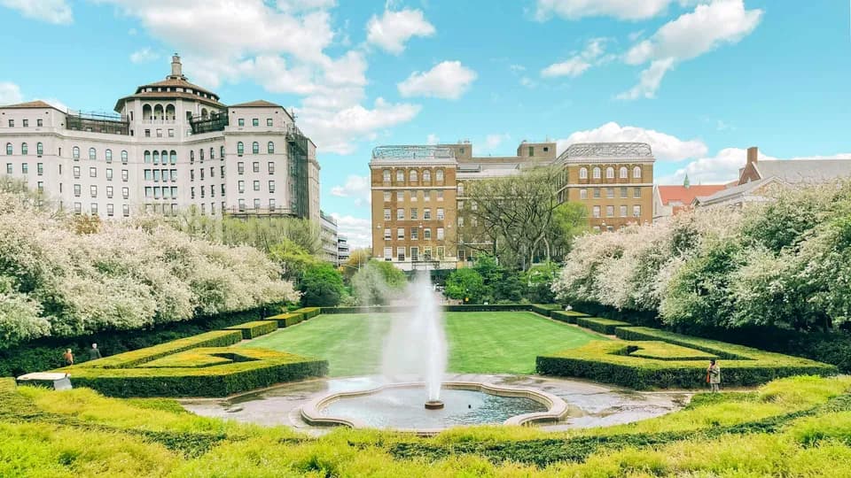 Kẻ lữ hành đi chậm kỳ 2: Những khu vườn ở Manhattan