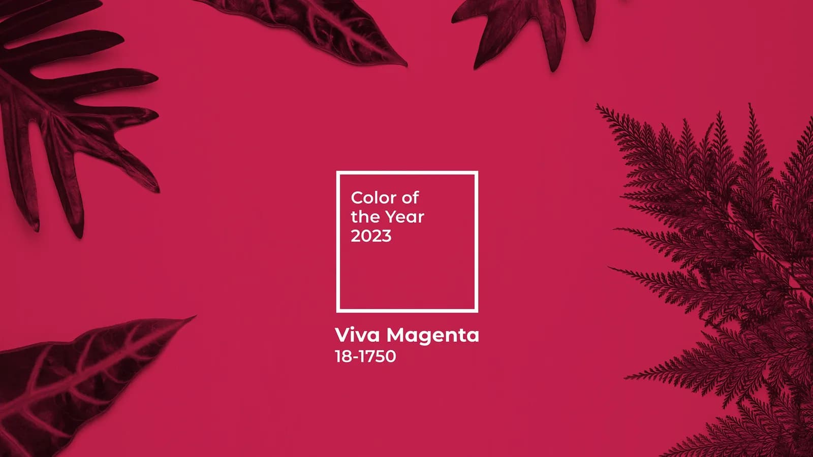 Sắc đỏ Viva Magenta - Màu sắc của năm 2023