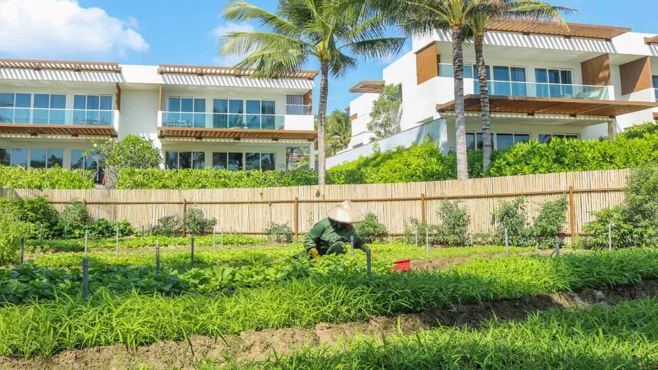 Các khu nghỉ dưỡng thành lập trang trại hữu cơ hướng tới phát triển bền vững