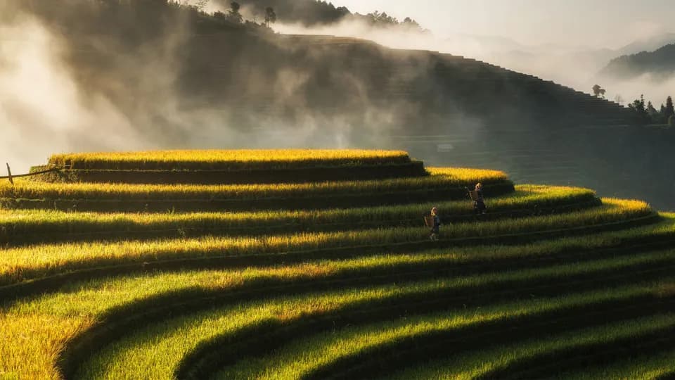 Những cung đường trekking đẹp nhất Việt Nam