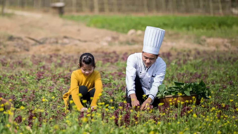 Mùa hè ý nghĩa bên gia đình tại resort và khách sạn thuộc Fusion Hotel Group