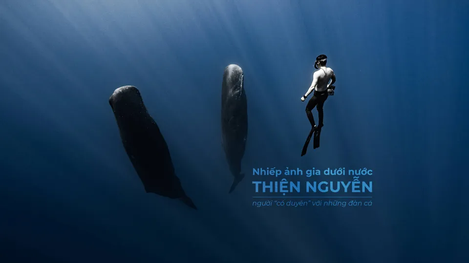 Nhiếp ảnh gia dưới nước Thiện Nguyễn – người “có duyên” với những đàn cá