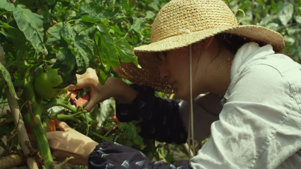 Little Forest: Ai cũng có “khu rừng nhỏ” bình yên trong tâm hồn