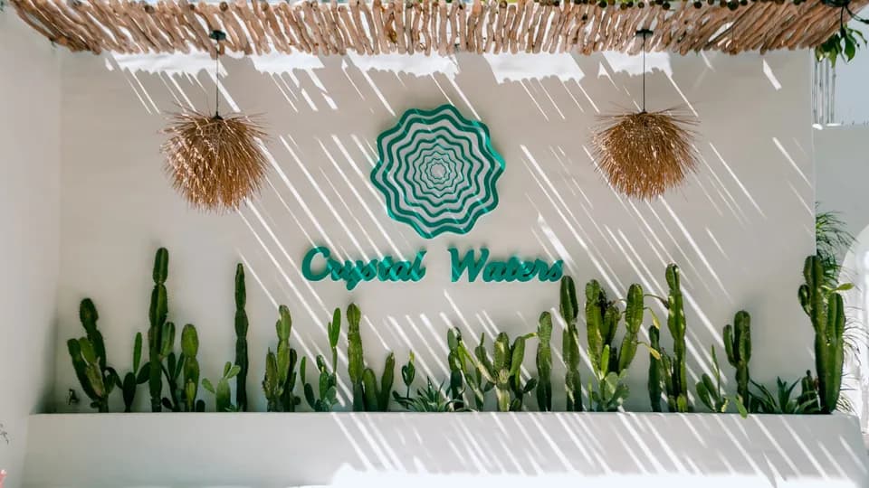 Crystal Waters Global: Mang xu hướng sống wellness đến Việt Nam