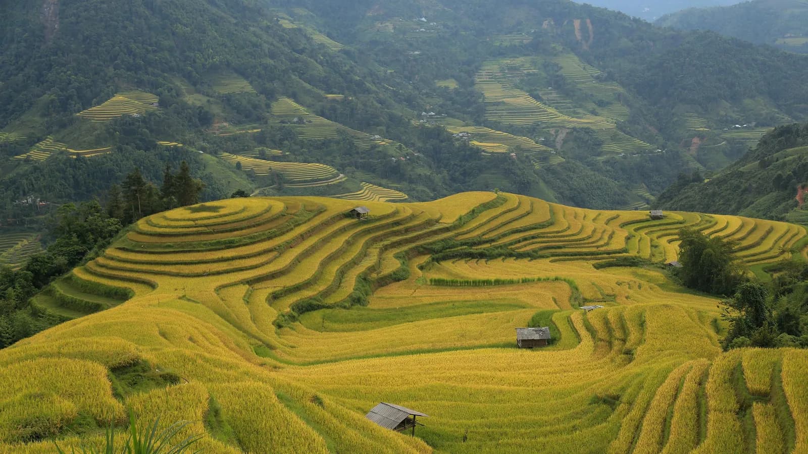 Lên Tây Bắc dạo chợ phiên mùa thu