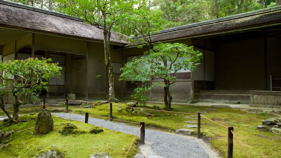 Có một rừng rêu xanh mướt ở bên rìa Kyoto