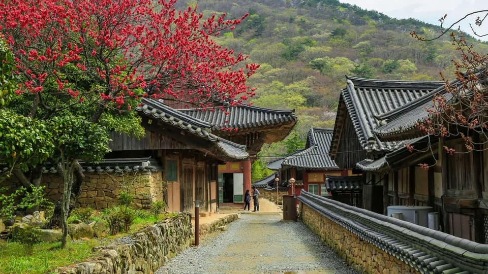“Mở bát” xê dịch đầu năm bằng một chuyến Jeolla Nam