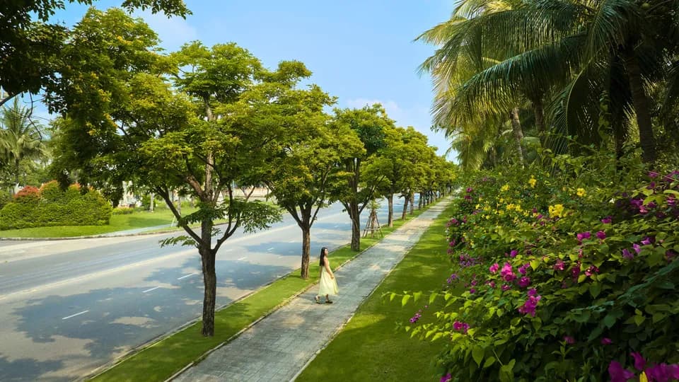 “Con đường cây xanh” trở thành điểm check-in mới tại Đà Nẵng 2024
