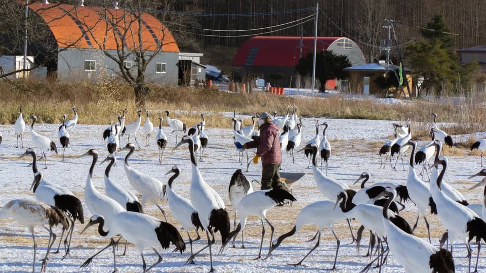 Các trạm dừng chân không nên bỏ lỡ khi đến xứ tuyết Hokkaido