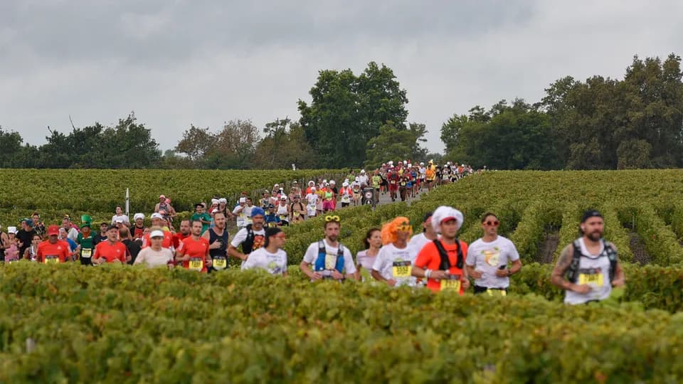 Marathon du Medoc: Giải chạy làm bạn từ “no bụng” đến “say mèm”