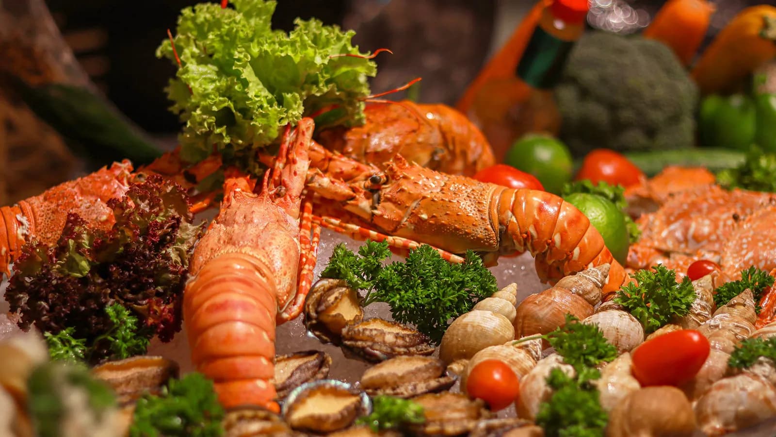 Trải nghiệm không gian ẩm thực đa dạng tại Novotel Saigon Centre