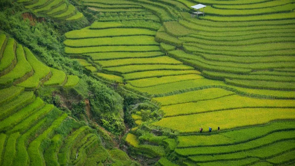 Việt Nam đơn giản hoá thủ tục thị thực điện tử nhằm thúc đẩy du lịch quốc tế 