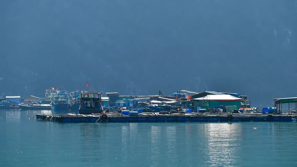 Ghé thăm Làng Chài Cửa Vạn - viên ngọc ẩn mình giữa kì quan thiên nhiên