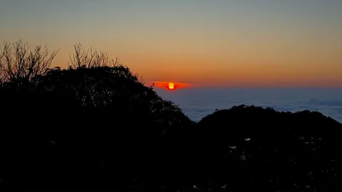 Sa Mu - Khu rừng cổ tích hay cung đường đầy chông gai với người lần đầu trekking?