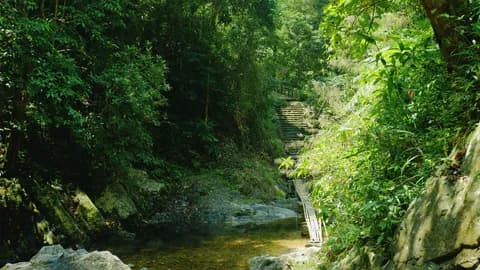 A Lưới, vùng đất đưa tôi trở về