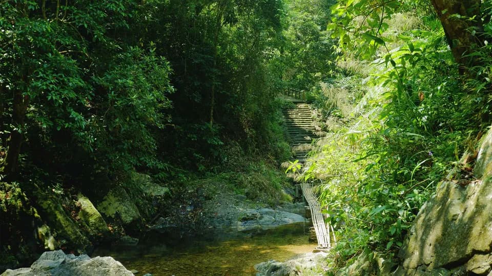 A Lưới, vùng đất đưa tôi trở về