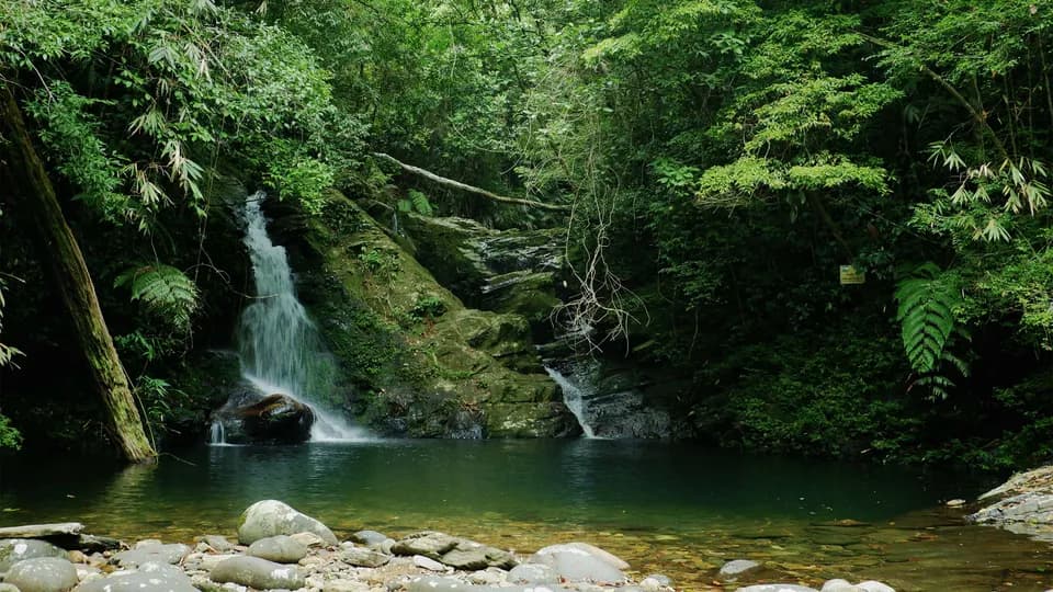 Bạch Mã “không thực”