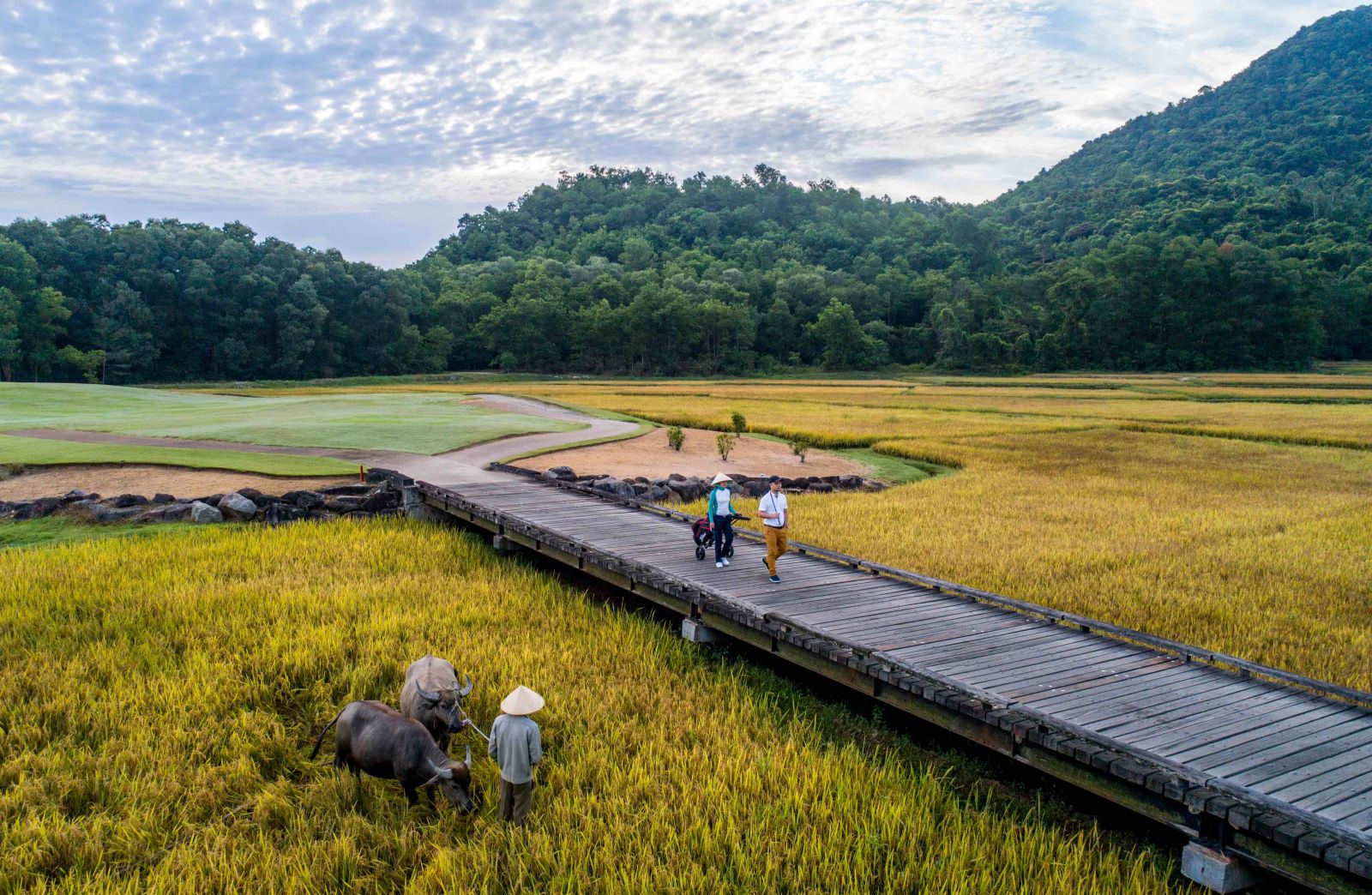 Laguna Lăng Cô, Banyan Tree, dự án xanh, khu nghỉ dưỡng xanh