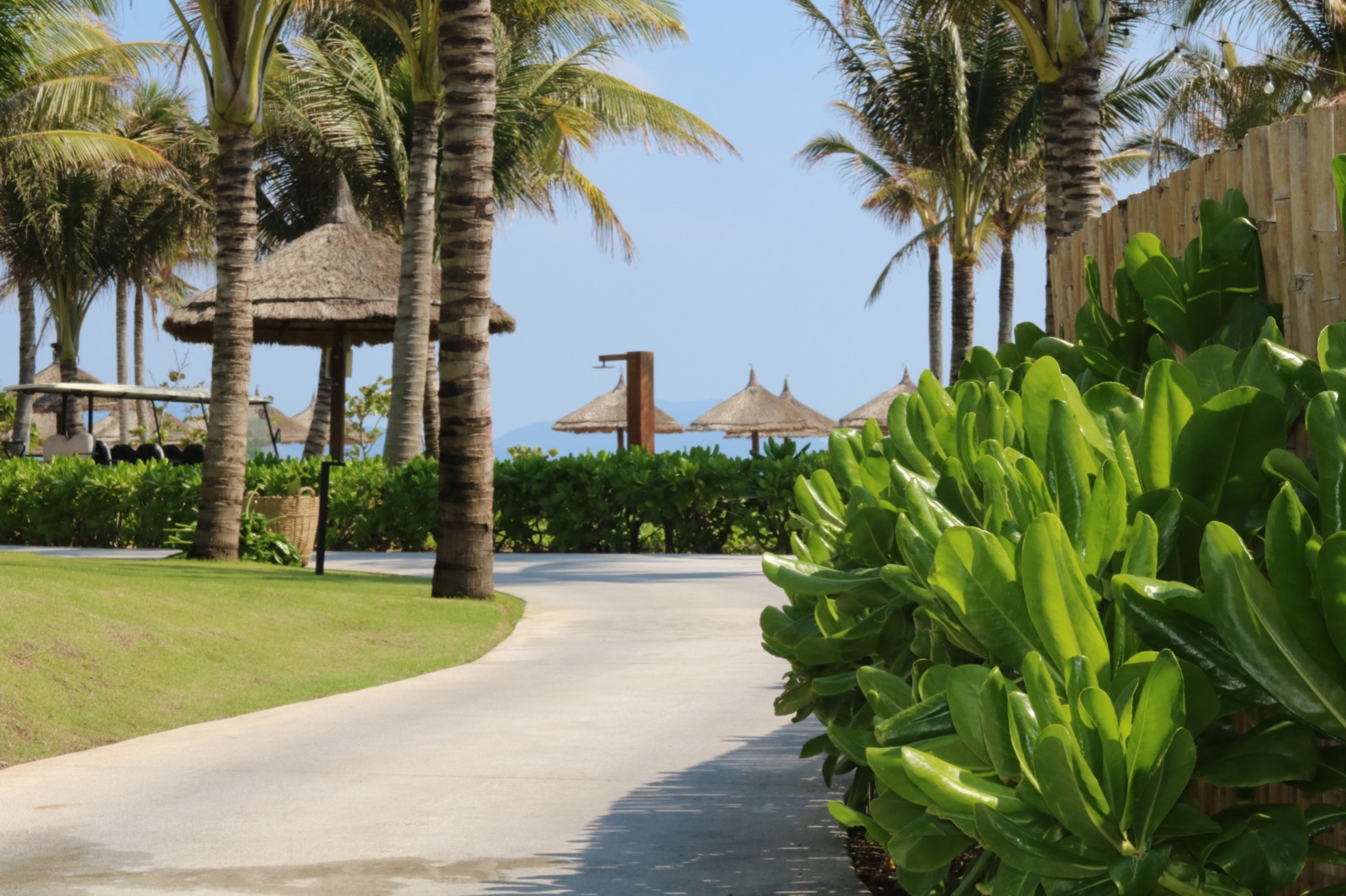 Alma Resort, Alma, trang trại hữu cơ, trang trại