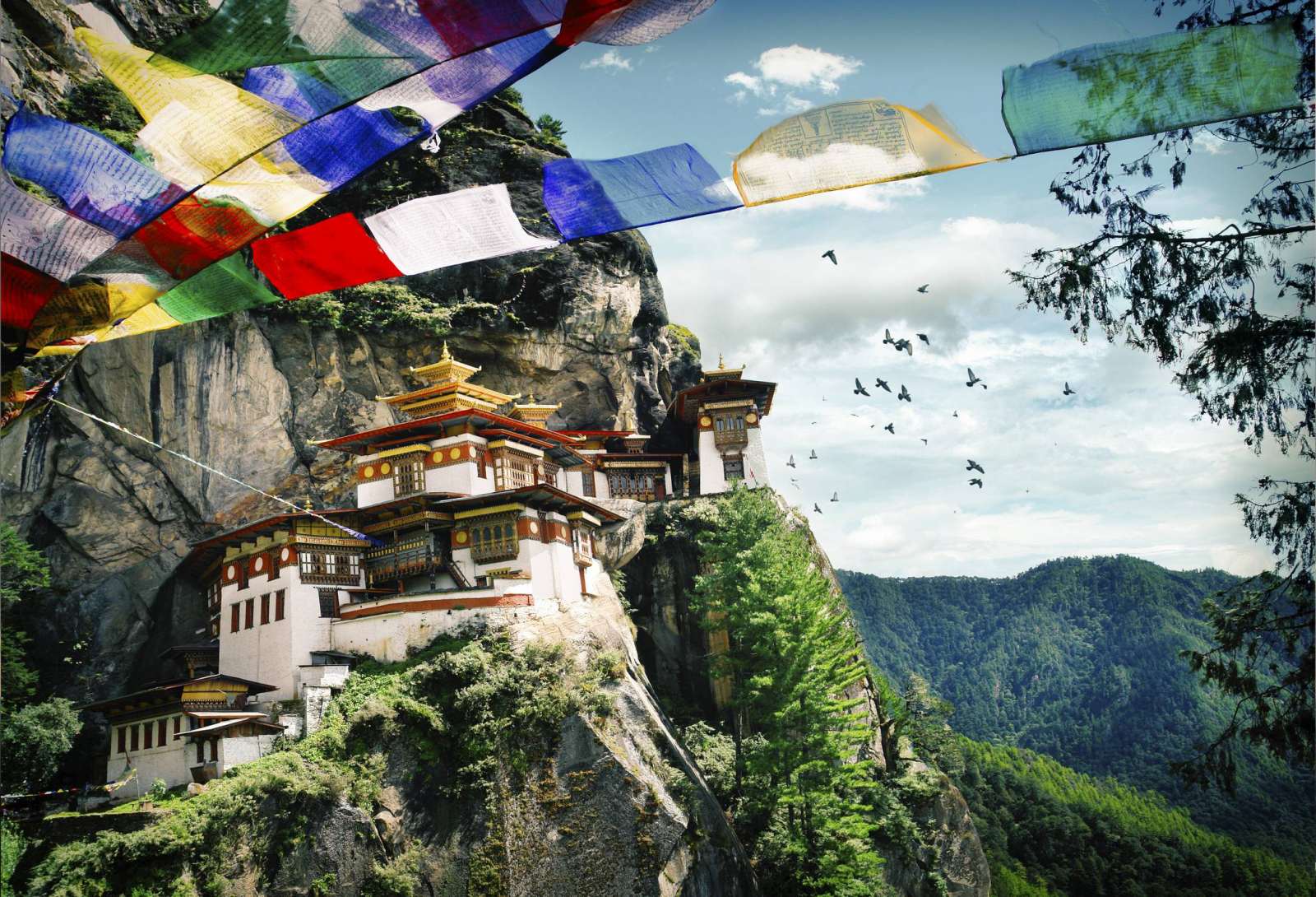 du lịch bền vững, du lịch châu á, du lịch phong nha, hang sơn đoòng, koh lanta, thái lan, Oxalis Adventure, du lịch bhutan