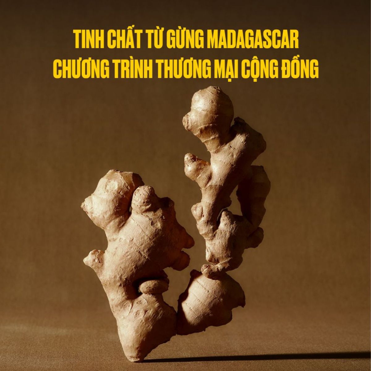 the body shop, mỹ phẩm thuần chay, dầu gội thuần chay