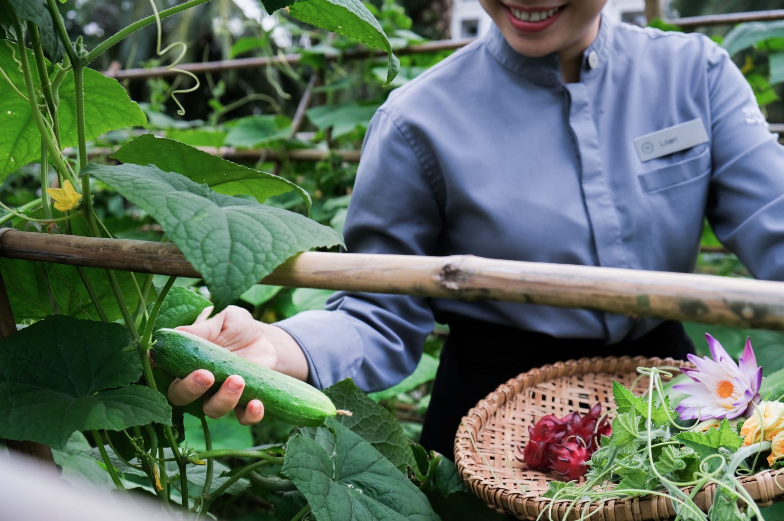 Sheraton Phu Quoc Long Beach Resort, Sheraton Garden, sustainability