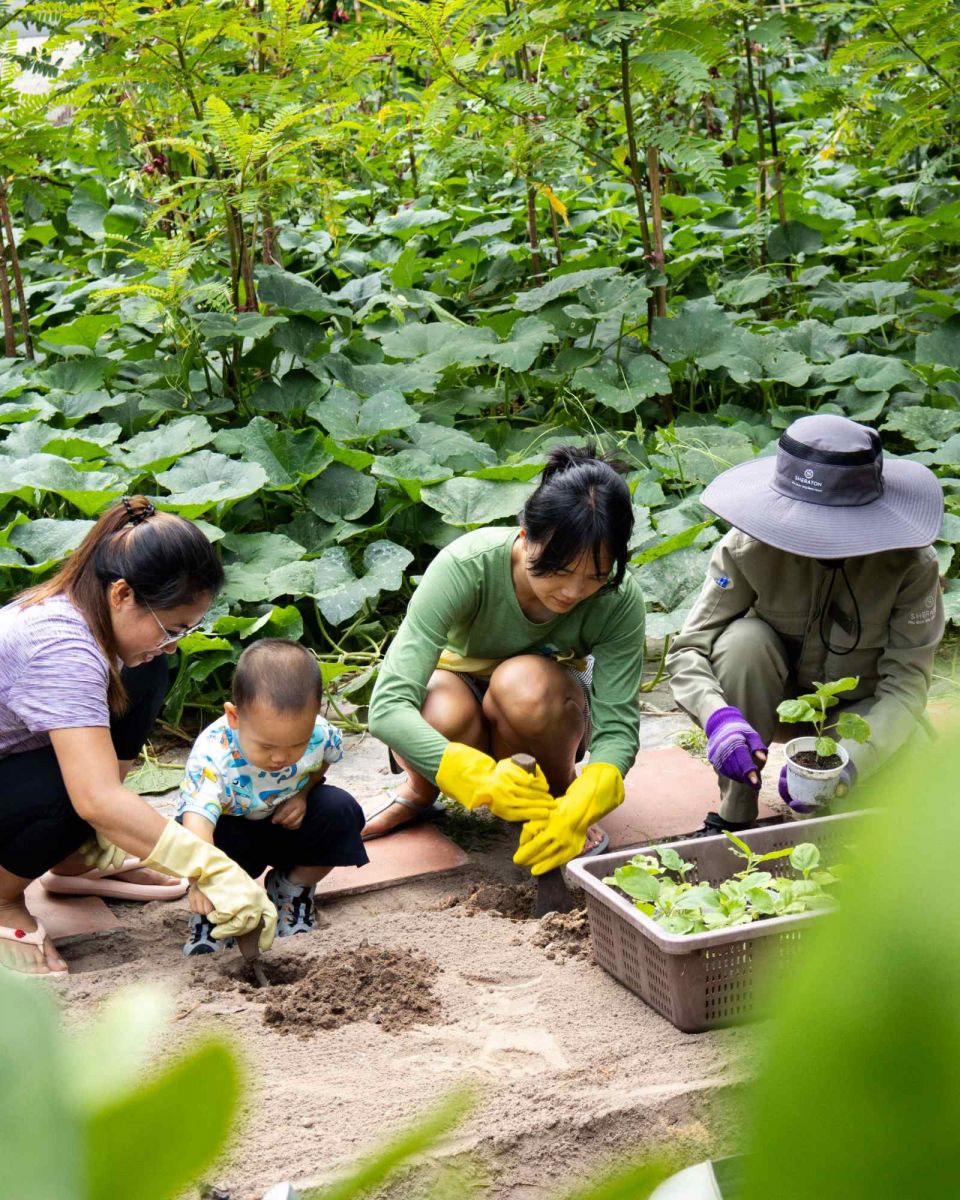 Sheraton Phu Quoc Long Beach Resort, Sheraton Garden, sustainability