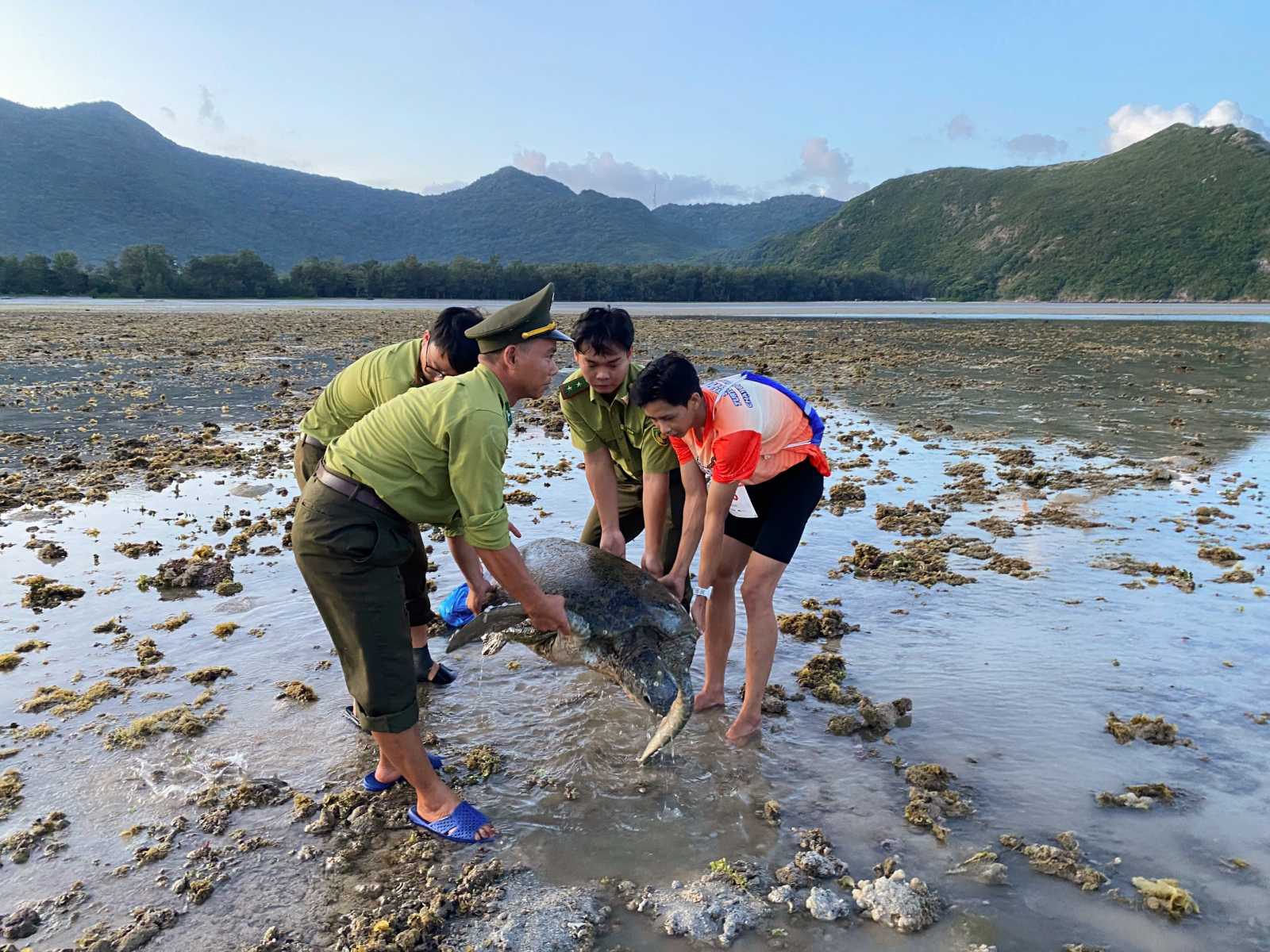 côn đảo, Save Turtles Run, vietnam, sustainability activities, sustainable resort