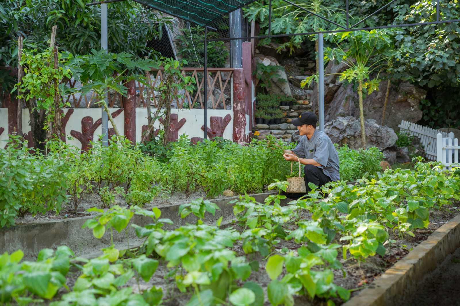 Premier Village Phu Quoc Resort, Green Globe 2025, sustainability travel, Sustainable Hospitality, vietnam, phú quốc