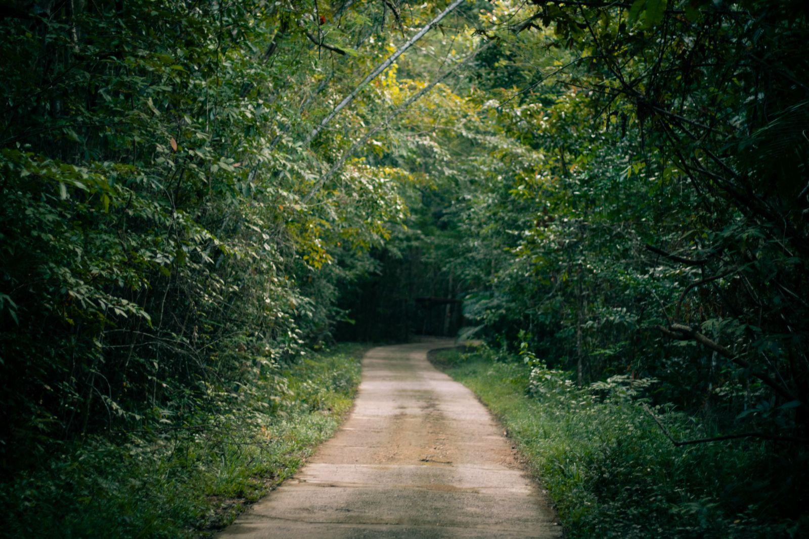Green travel