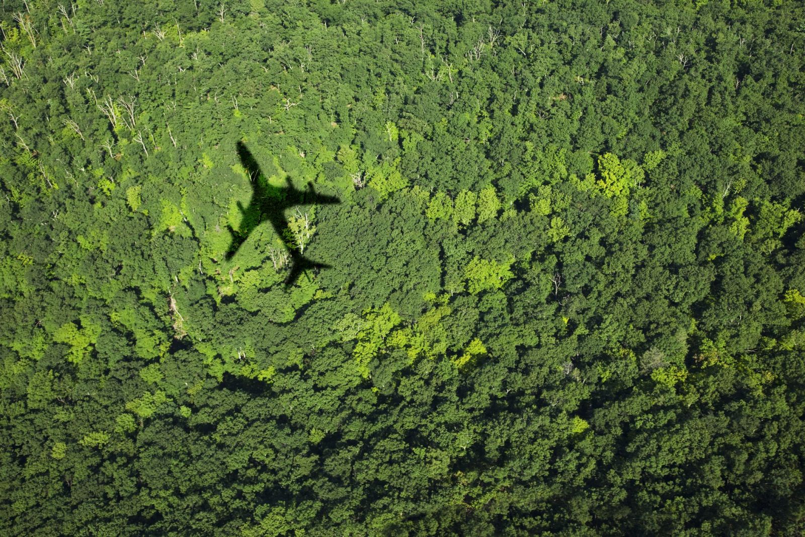 Green travel
