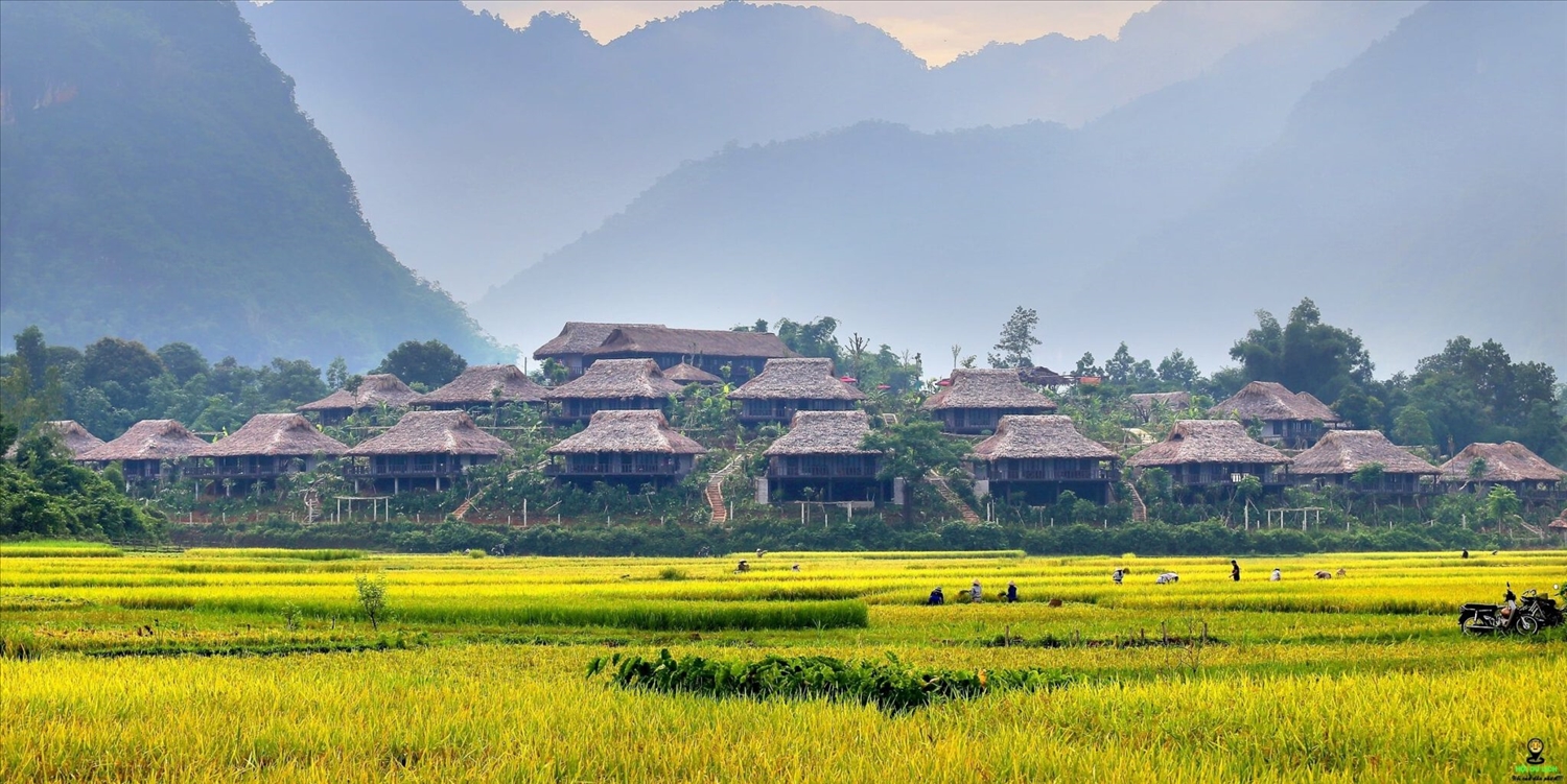 Green travel