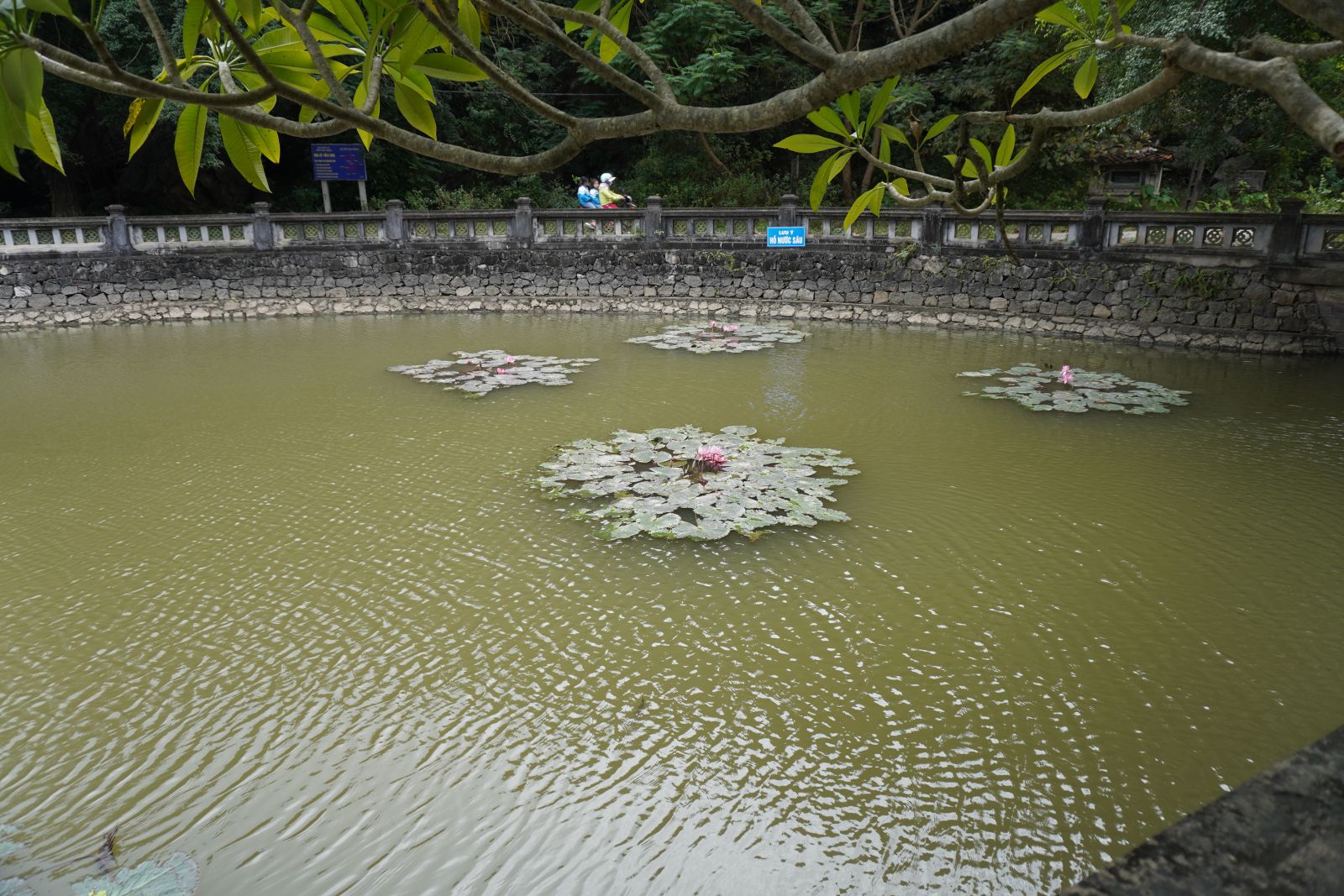 Ninh Bình, Tràng An, Hạ Long trên cạn