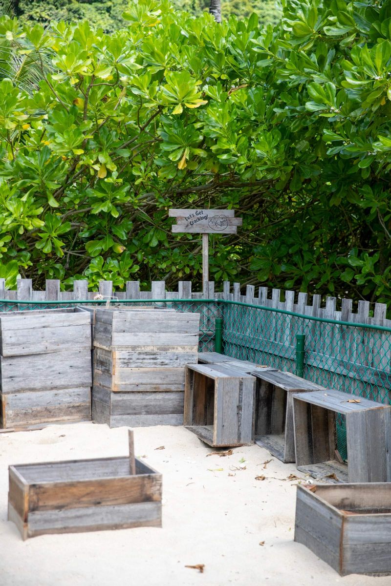 Six Senses Côn Đảo, bảo vệ rùa biển, Vườn Quốc gia Côn Đảo, IOSEA
