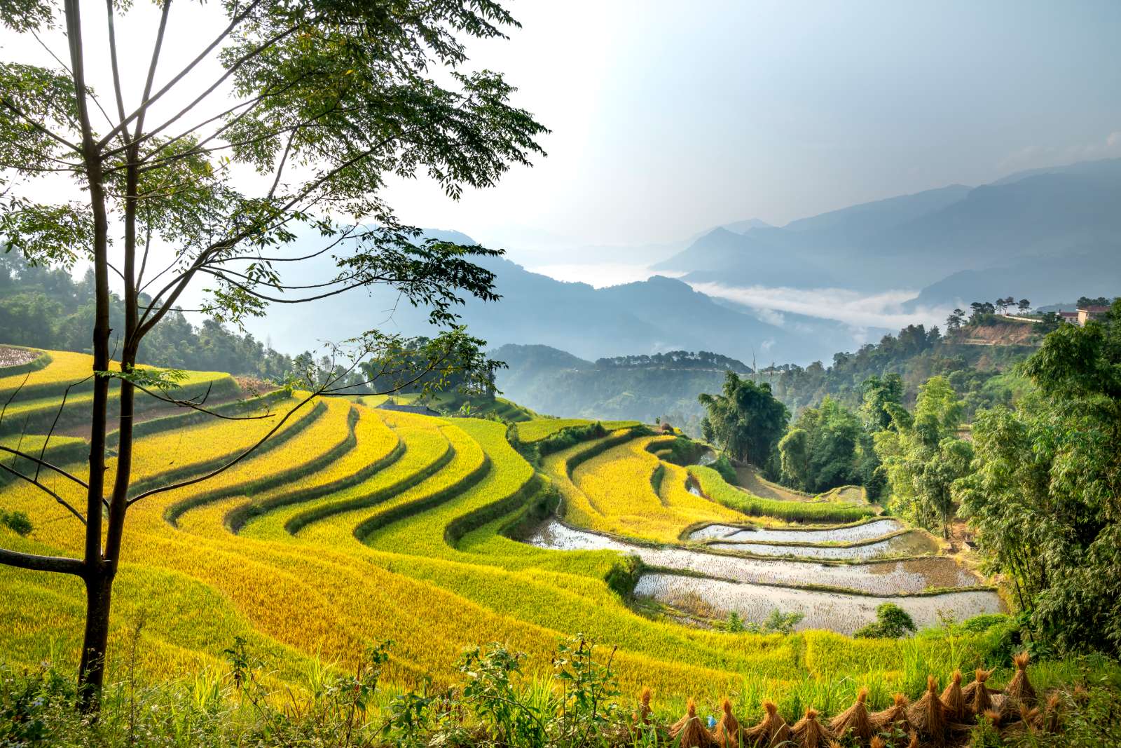 thành phố đáng sống, Du lịch hè