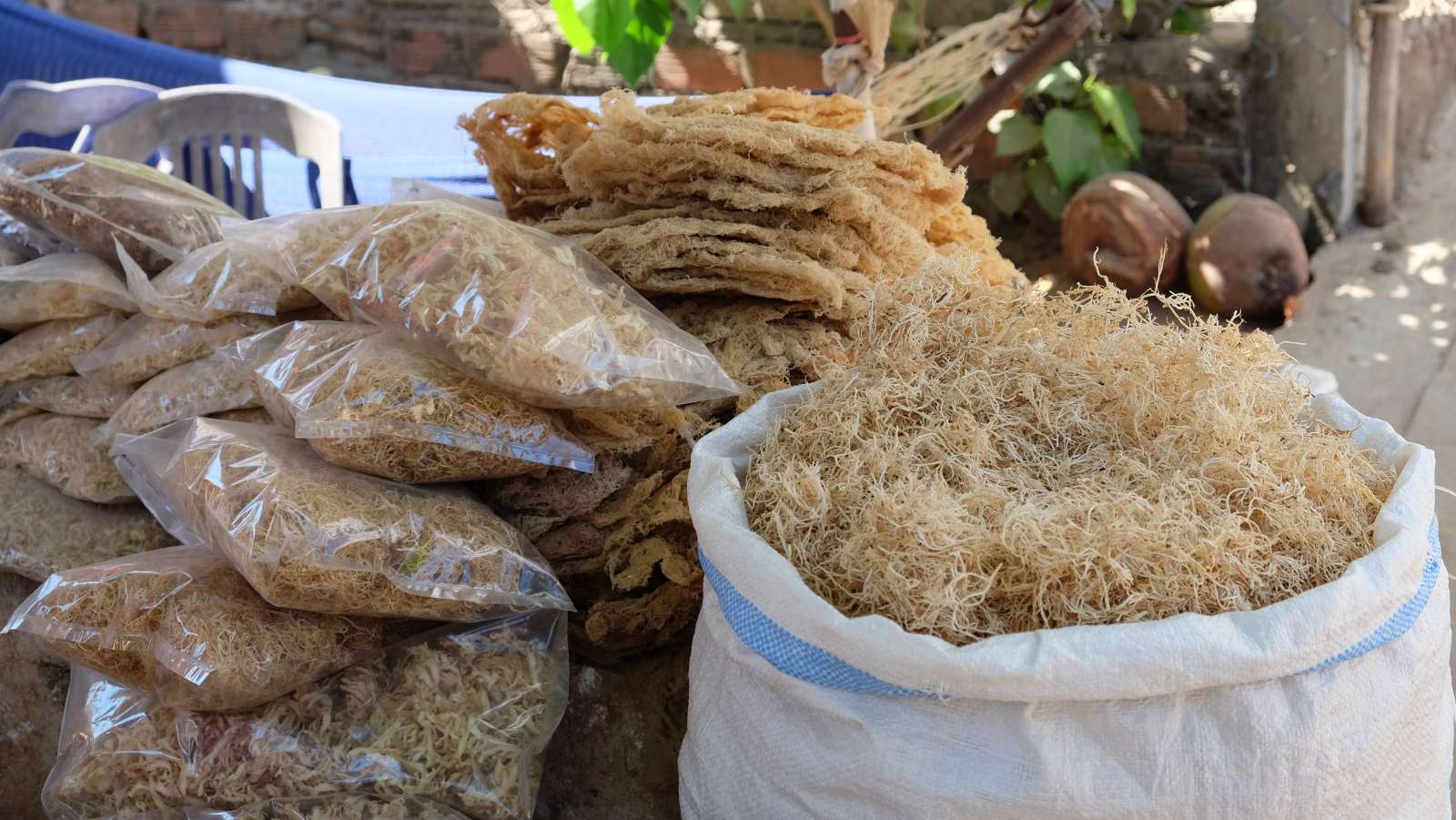 Lý Sơn, du lịch, khám phá, trải nghiệm