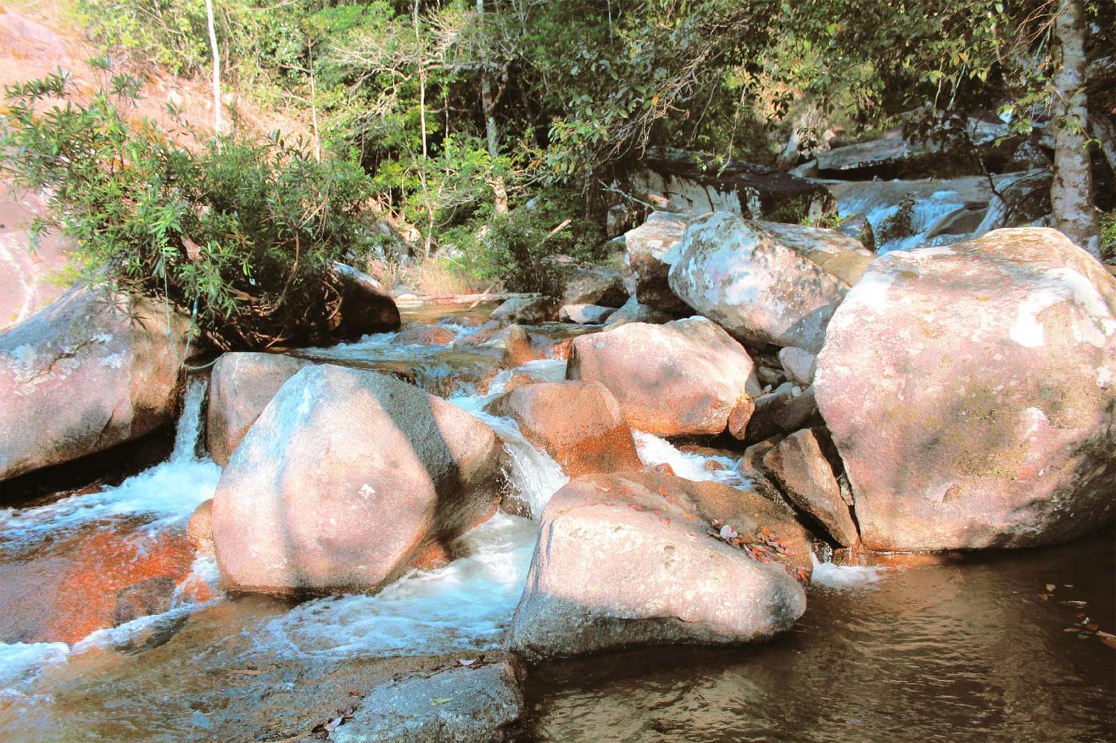 Tây Nguyên, du lịch, trải nghiệm, khám phá 