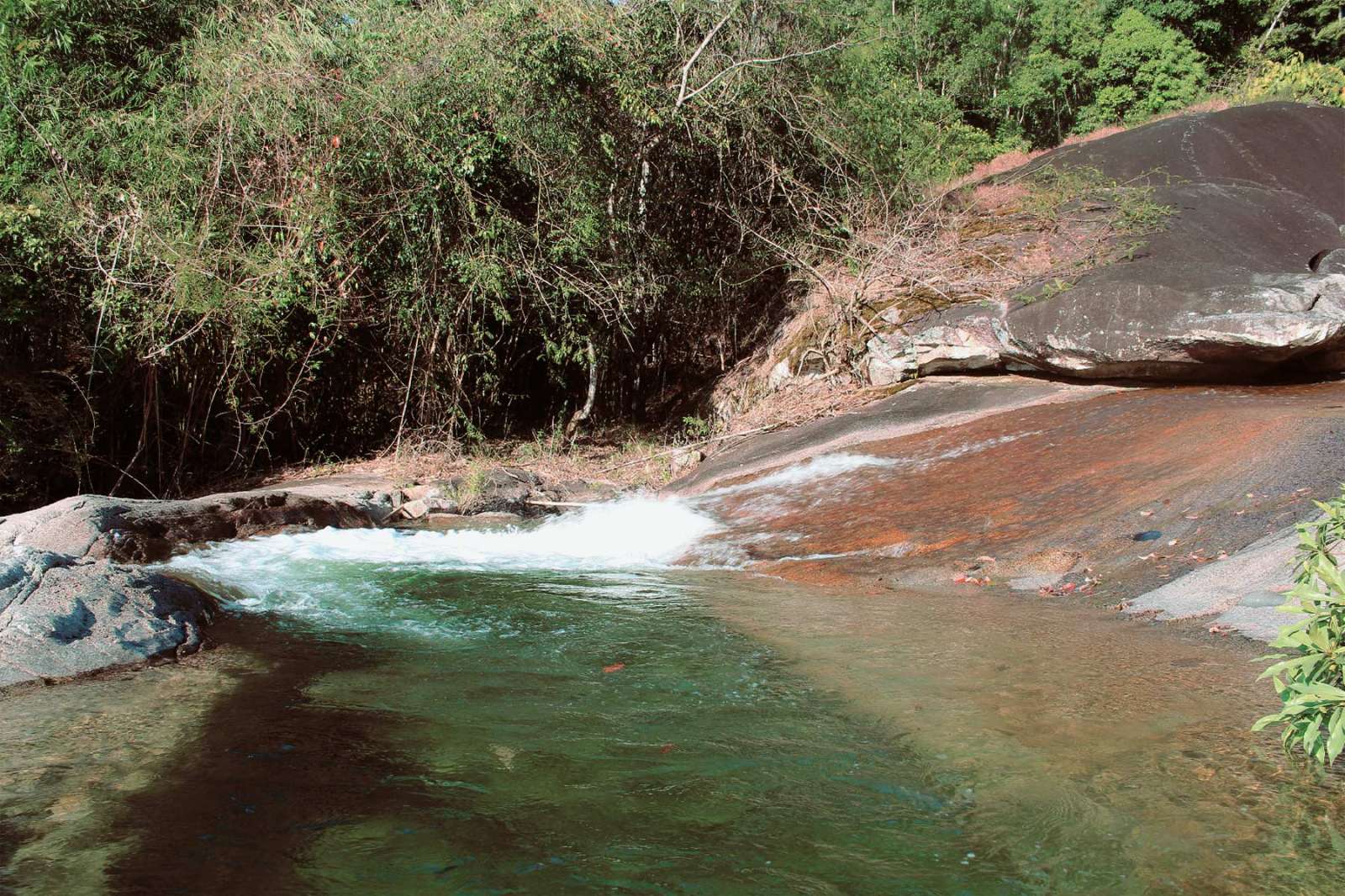 Tây Nguyên, du lịch, trải nghiệm, khám phá 